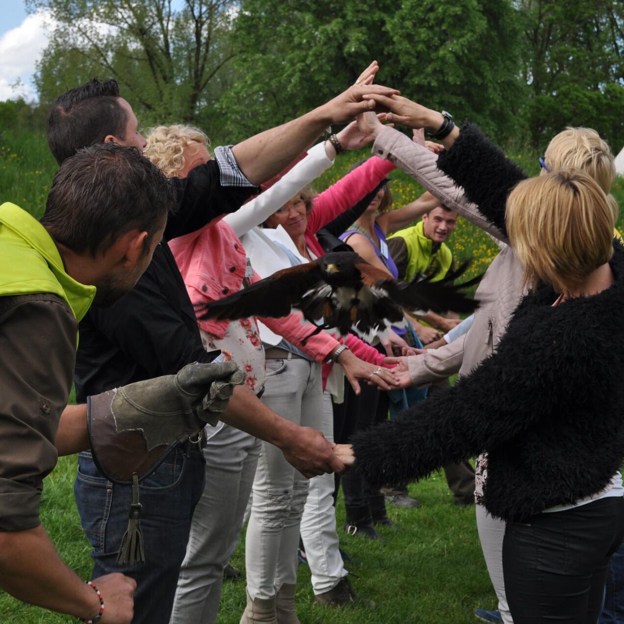 roofvogels workshop Gelderland Lochem Eefde de Wijte breakout teamactiviteiten teambuilding Deventer Zutphen